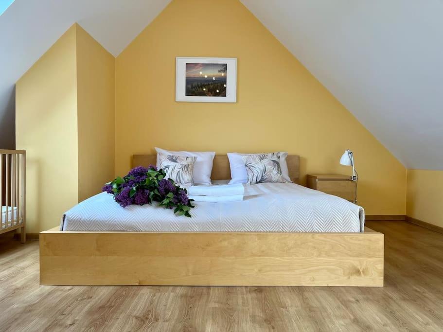 Apartament Hemingwaya Jelenia Góra Exterior foto